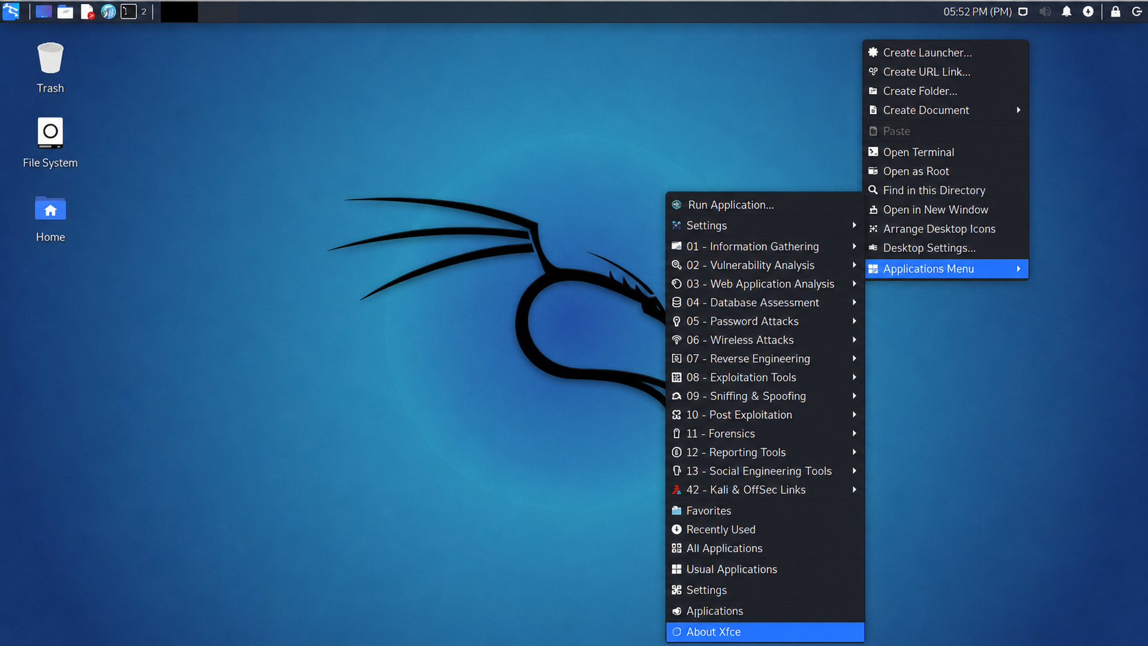 Kali Linux screenshot 2